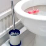 Tudtad, hogy a gyökér-benövés elsősorban a WC-ben mutatja meg hátulütőit?
